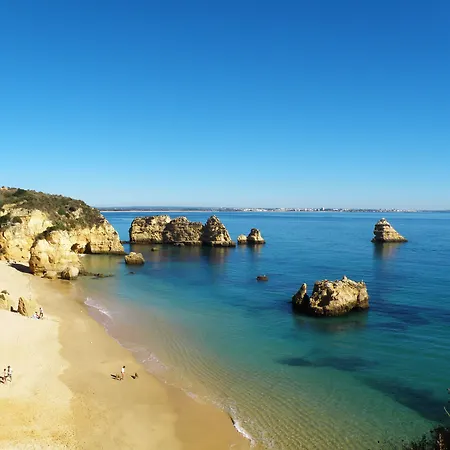 D. Dinis - Charming (adults Only)